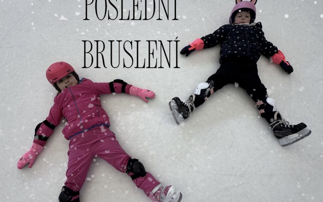 Poslední bruslení
